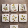 mattonelle decorate con erbe