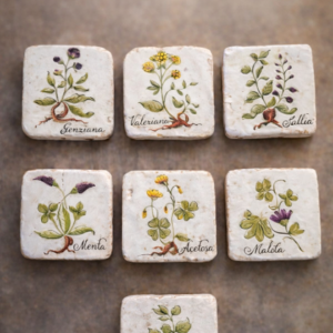 mattonelle decorate con erbe