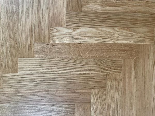 parquet socrate spina pesce