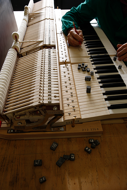 dettagli pianoforte