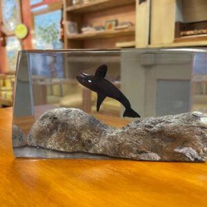 resina scultura orca