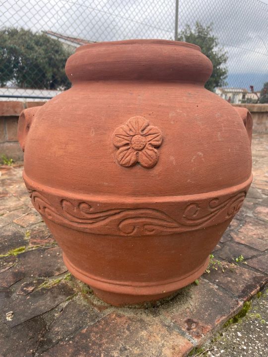 foto orcio